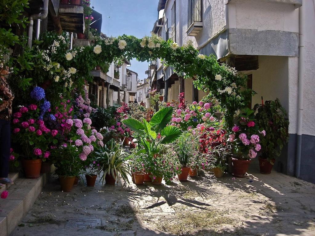 Apartamentos Turisticos Mirayuste 구아달루페 외부 사진